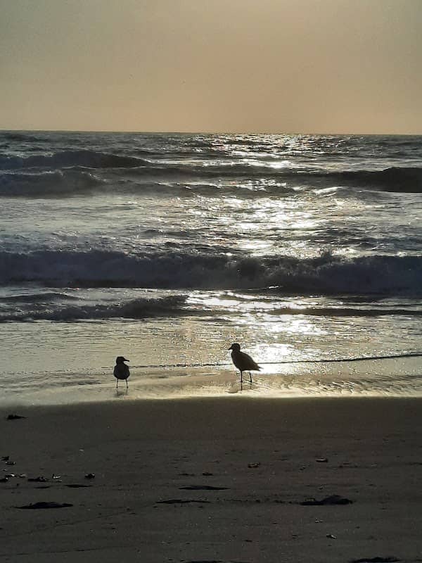 Sonoma Coast State Marine Conservation Area - Image 2