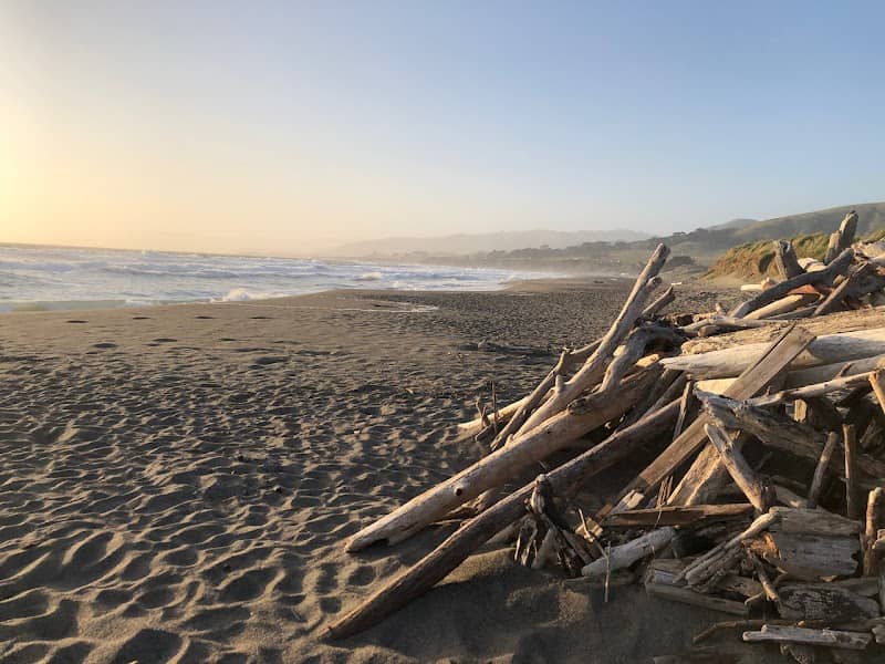 Sonoma Coast State Marine Conservation Area - Image 3