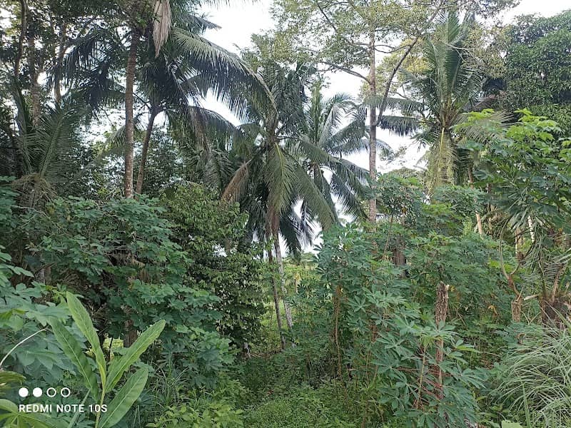 Puncak Ula (batu cermin) - Image 2