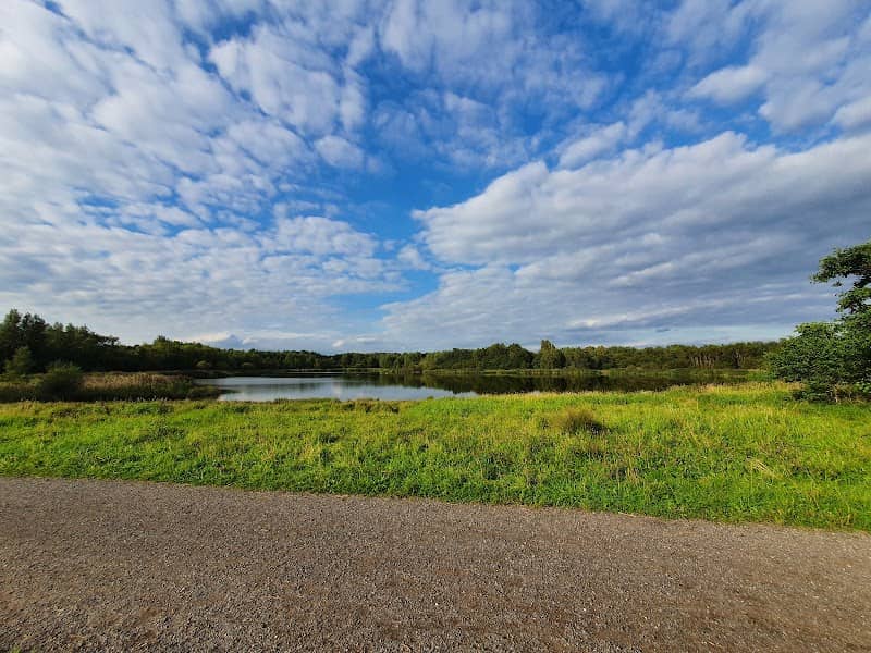 Amberswood - Image 1