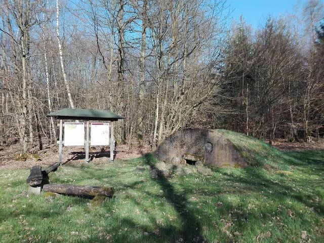 Heckholzhausener Wald - Image 1