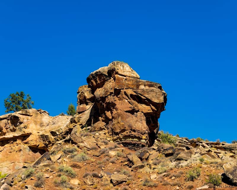 Lion Rock - Image 1