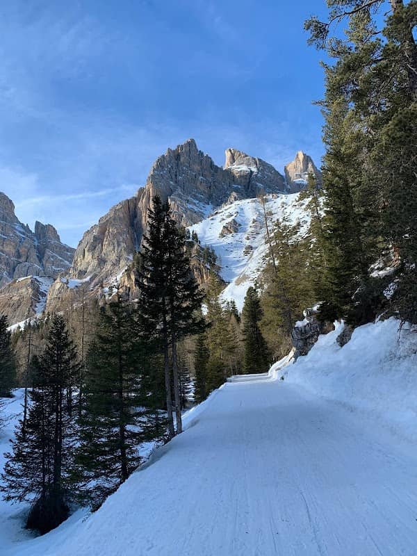 Parco Regionale Dolomiti d'Ampezzo - Image 2