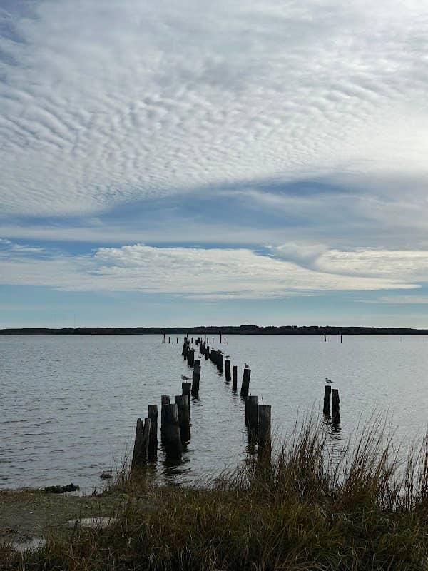 Thomas Jefferson Rollins Nature Area - Image 1