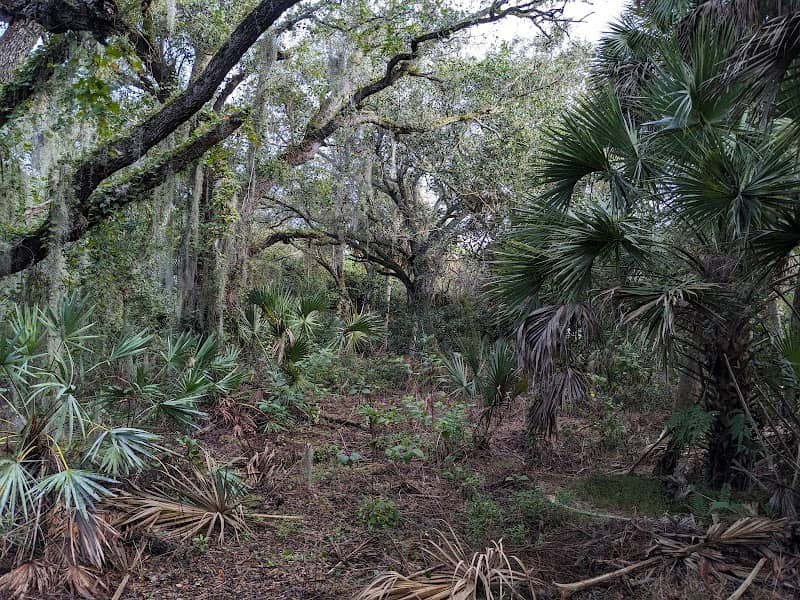 Delray Oaks Natural Area - Image 2