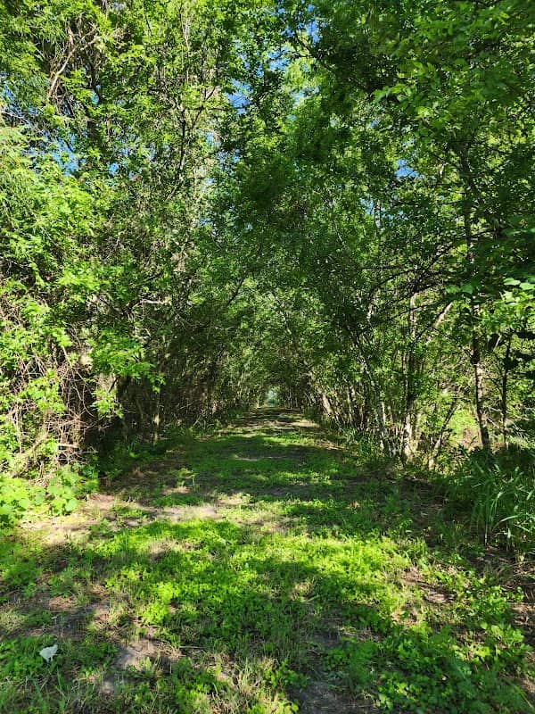 Pollywog Pond Bird & Wildlife Sanctuary - Image 2