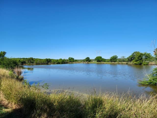Pollywog Pond Bird & Wildlife Sanctuary - Image 1