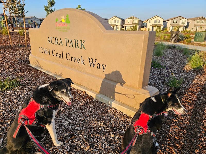 Aura Park - Image 3