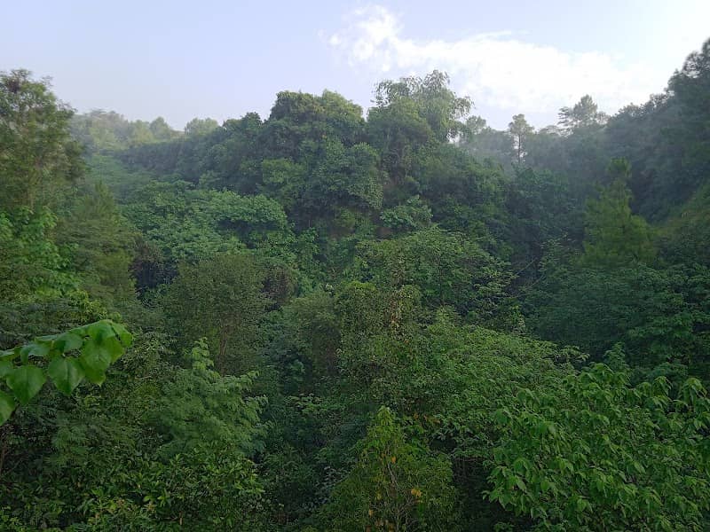 Kheda Water Fall - Image 2
