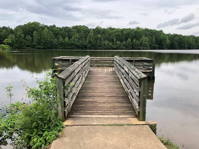 Andrew Jackson State Park - Image 1