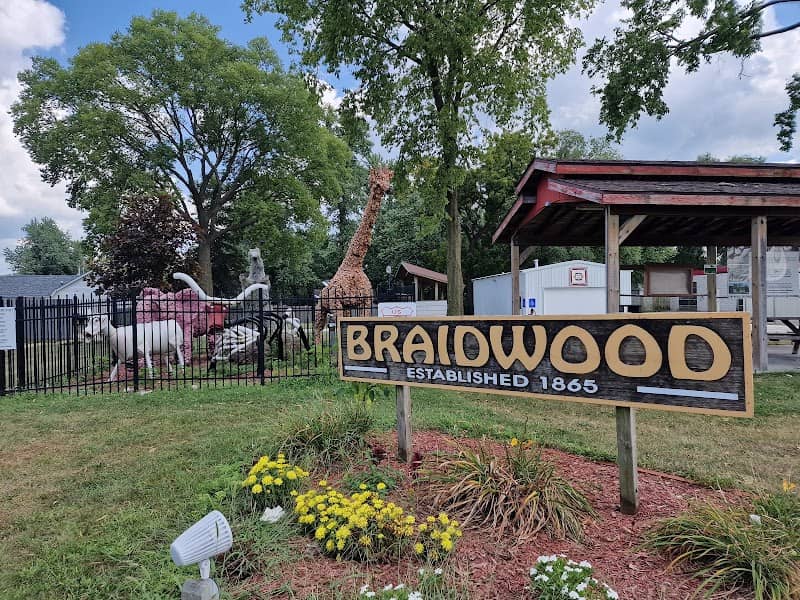 Braidwood Zoo - Image 1