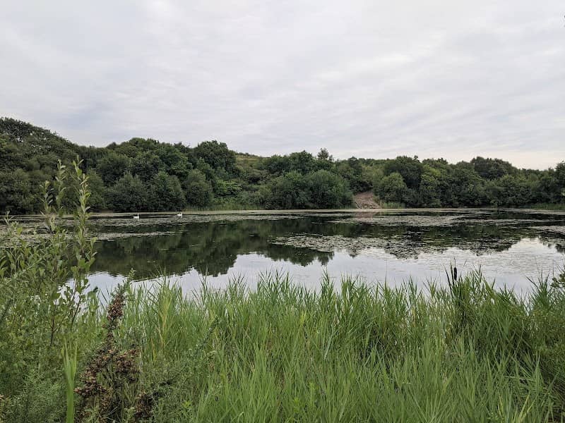 Crymlyn Pond - Image 1