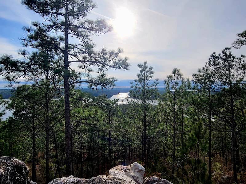 Smith Mountain Alpine Trail - Image 1