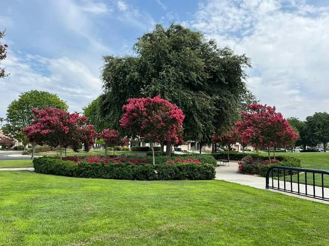 Woodland Star Park - Image 2