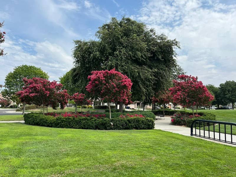 Woodland Star Park - Image 2
