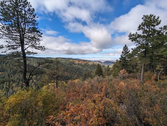 Lincoln National Forest - Image 3