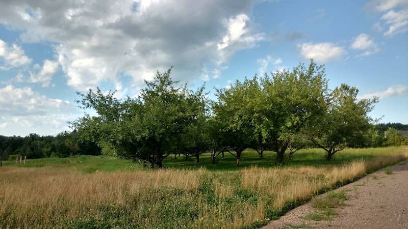 Meadow Terrace Community Garden - Image 2
