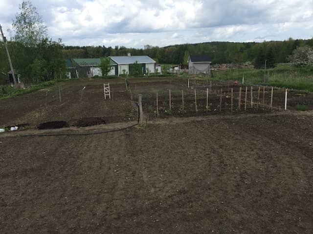 Meadow Terrace Community Garden - Image 1