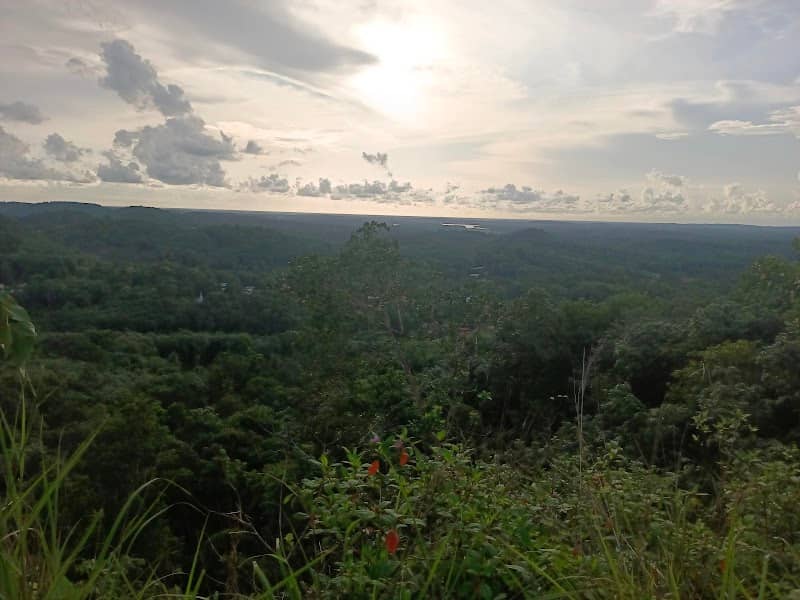 Athiramala Hill Top - Image 1