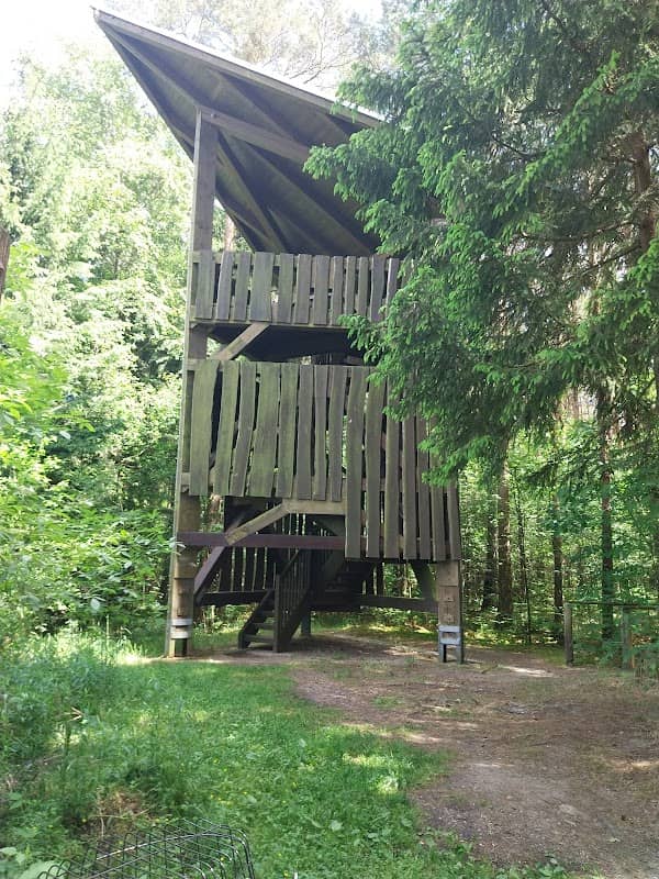 Aussichtsturm Hohenleipisch-Sornoer Altmoränenlandschaft - Image 1