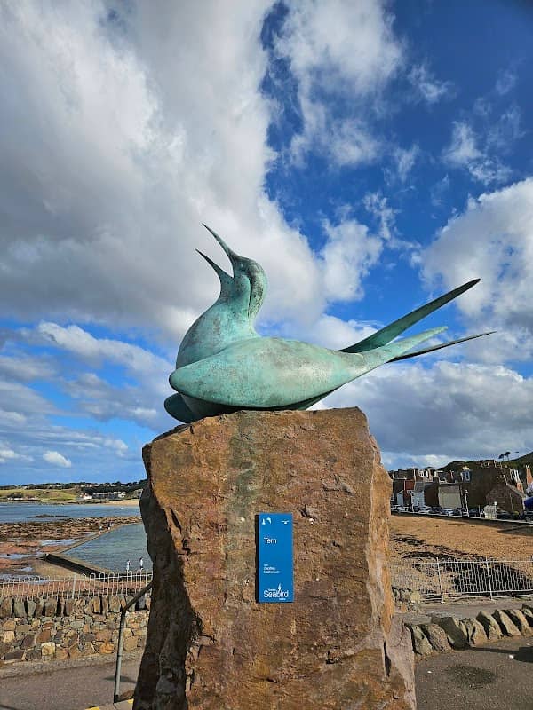 Boat Office - Scottish Seabird Centre - Image 3