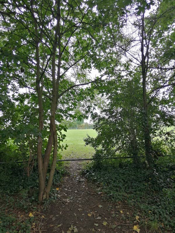 Trust Grounds - Image 2
