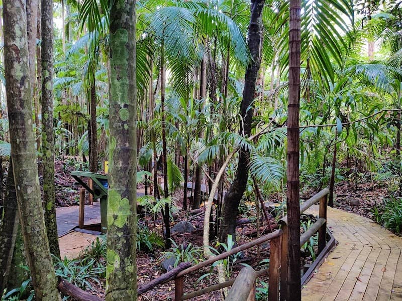 Tamborine Mountain Regional Botanic Gardens - Image 1