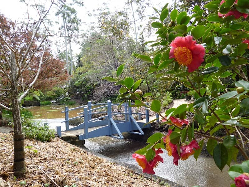 Tamborine Mountain Regional Botanic Gardens - Image 2