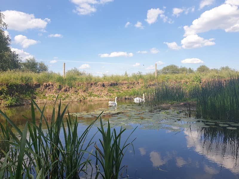 Jubilee Park - Image 2
