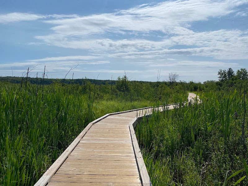 Nara River Boardwalk South Trails - Image 2