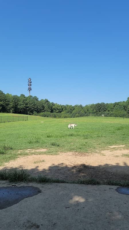 Deer Lick Dog Park - Image 1