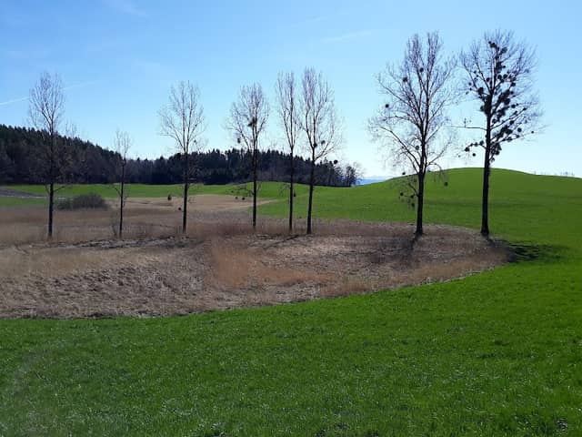 Mahlweiher Landscape Protection Area - Image 1