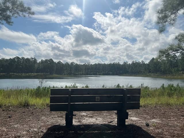 Camp Blanding Wildlife Management Area - Image 2