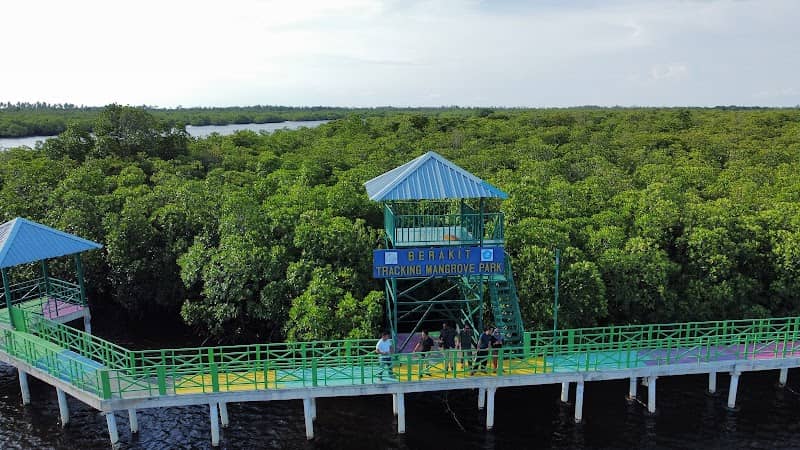 Berakit Tracking Mangrove Park - Image 1