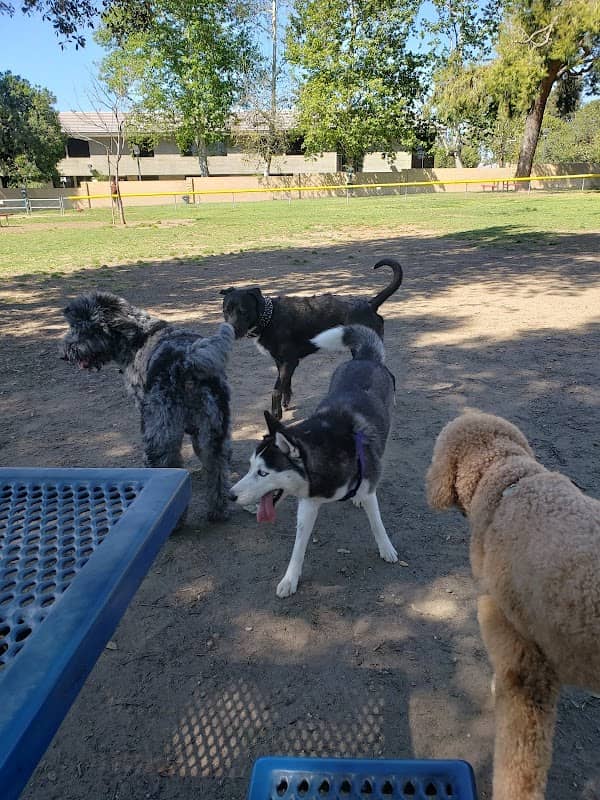 Baldy View Dog Park - Image 3