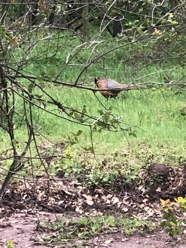 Stock Ranch Nature Preserve - Image 2
