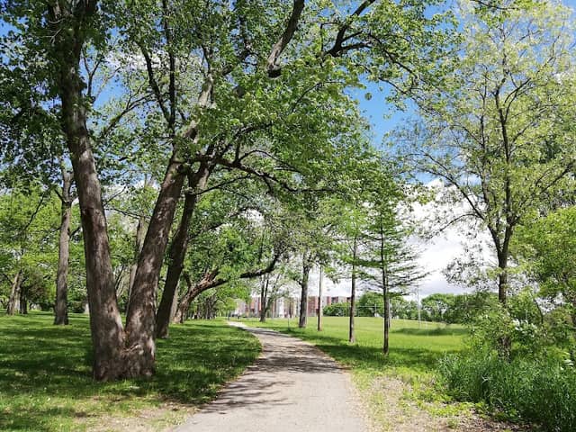 Stuart Smith Park - Image 2