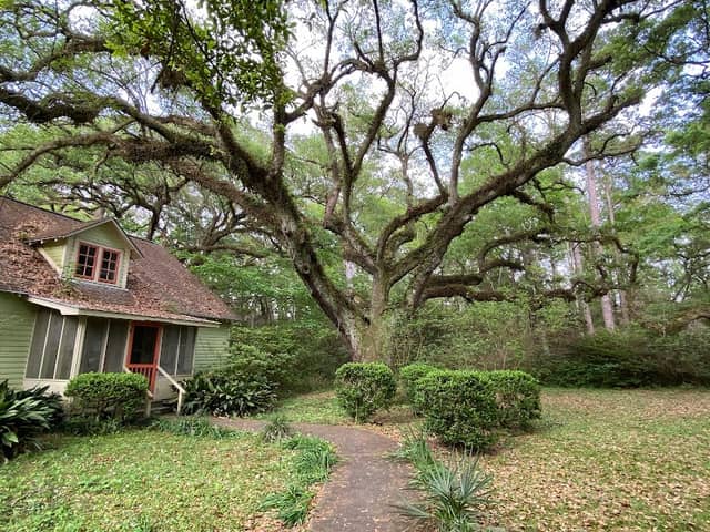 Twelve Oaks Nature Trail - Image 1