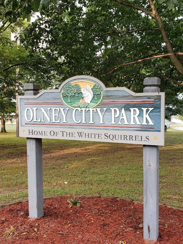 Olney City Park - Image 1