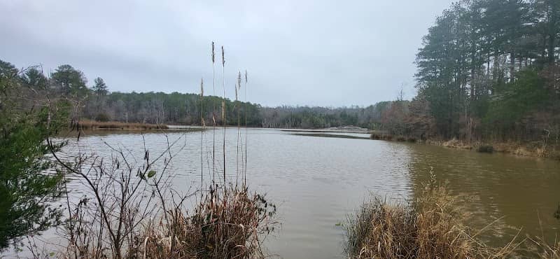 Nature Trail - Image 1