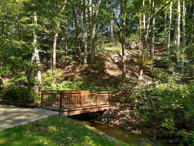 Park Miejski - Image 1
