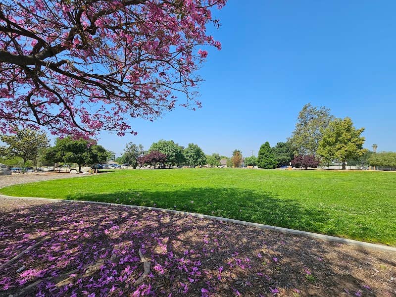 Wilderness Park - Image 2