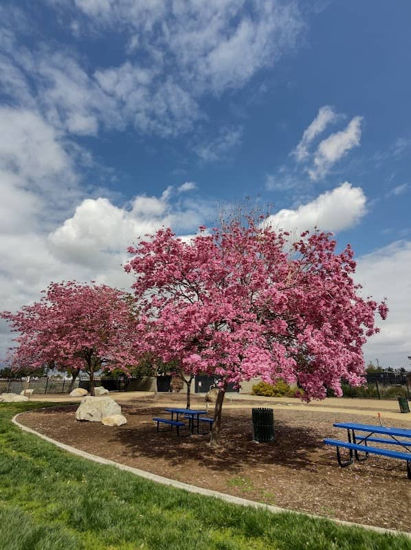 Wilderness Park - Image 1