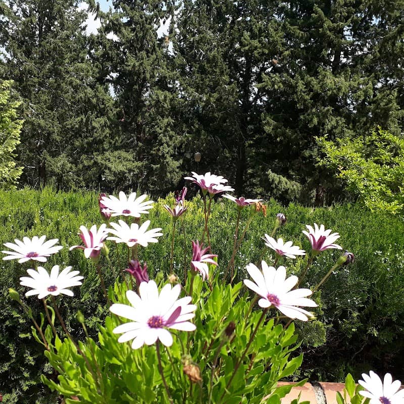 Sakıp Sabancı Kent Ormanı - Image 1