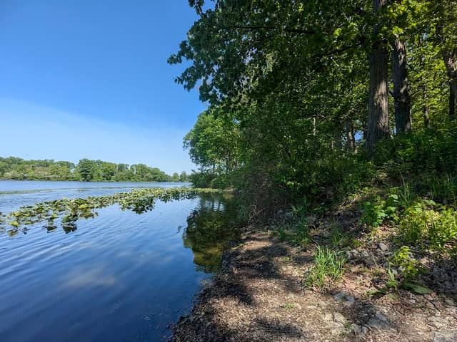 Fred Rose Lakeshore Park - Image 2