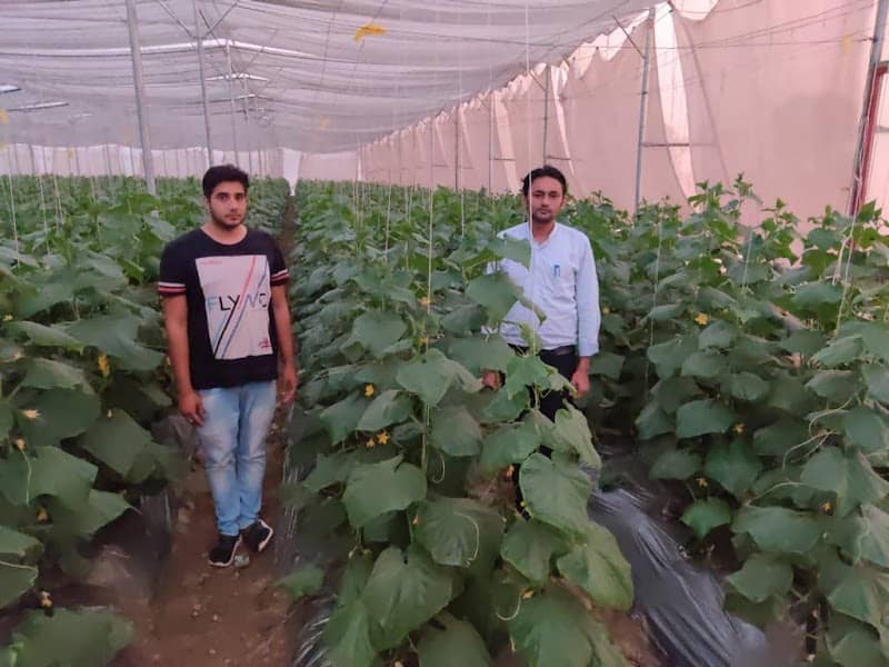 Guljaar krishi Farm - Image 1