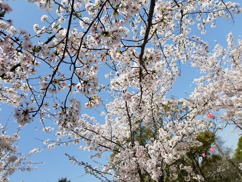 Hayashima Park - Image 1