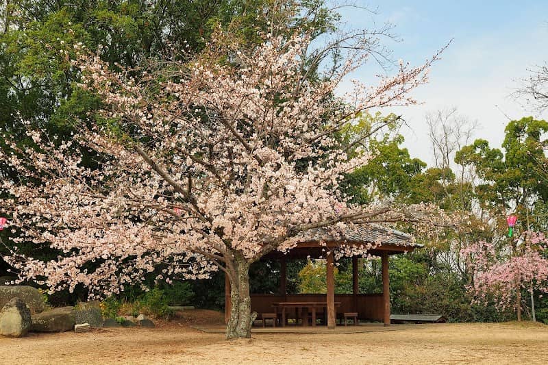 Hayashima Park - Image 2