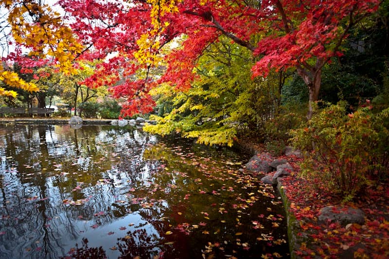 Lithia Park - Image 1