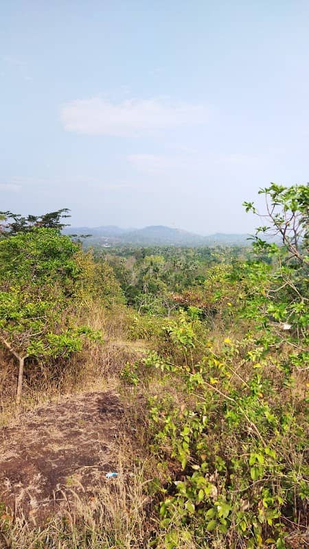 Oduparakkunnu View Point - Image 1